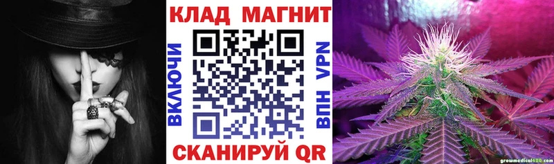Купить наркотик Власиха A PVP  КЕТАМИН  ГАШИШ  Псилоцибиновые грибы  Кокаин  мега как войти  МЕФ 