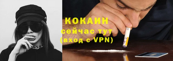 шишки Волоколамск