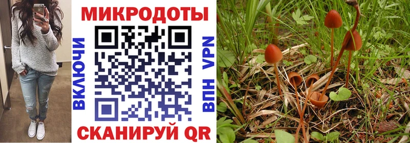 Галлюциногенные грибы прущие грибы  Власиха 